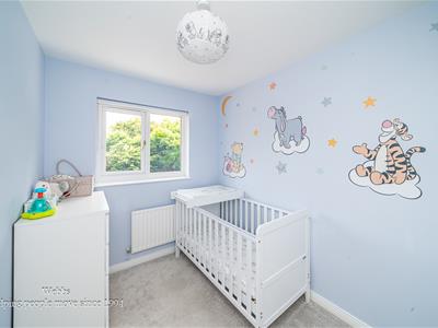 Picture 19
